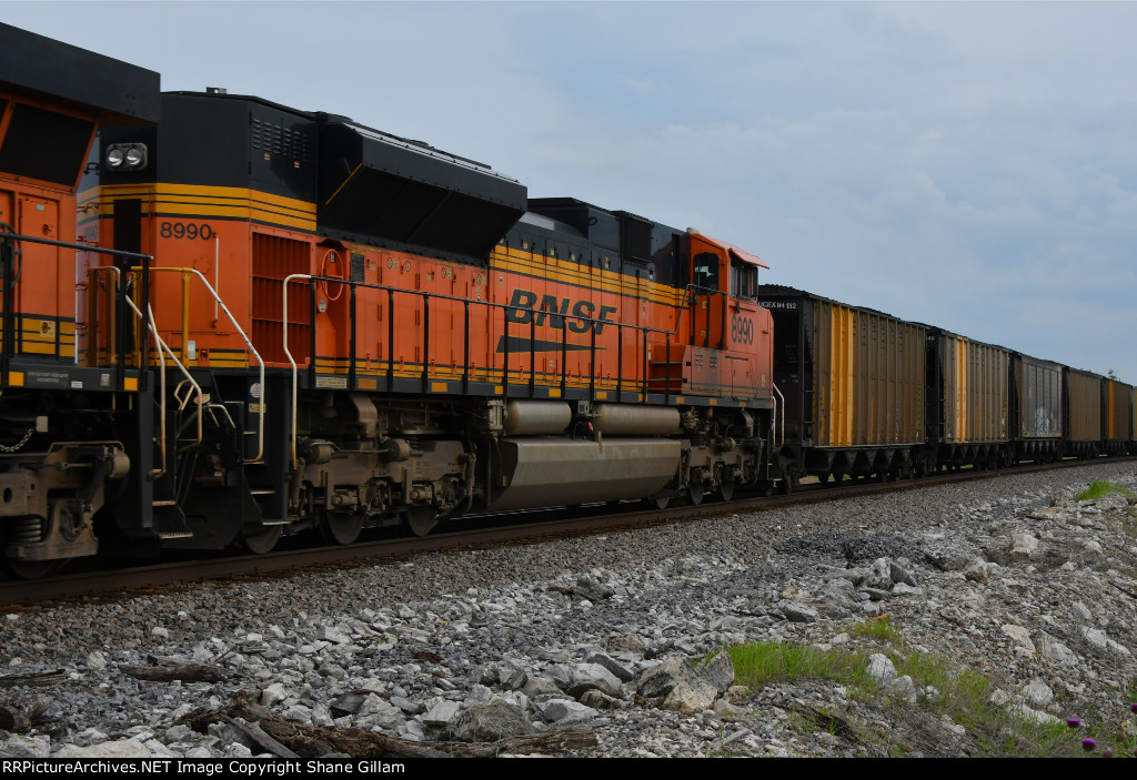 BNSF 8990 Roster shot